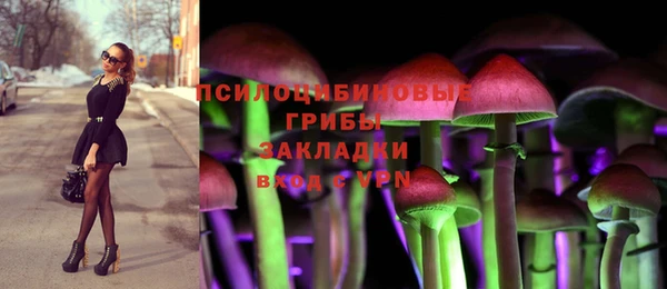 соль ск Абаза