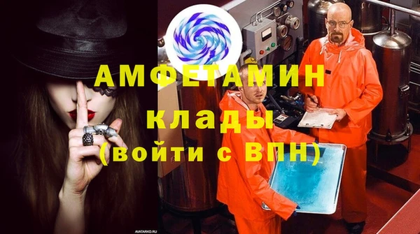 шишки Абинск