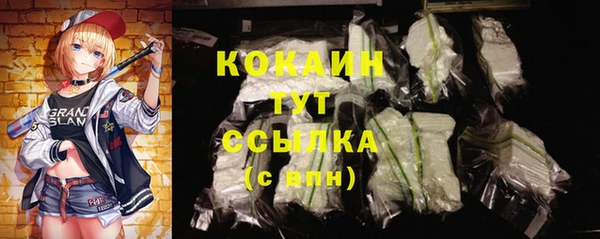 соль ск Абаза