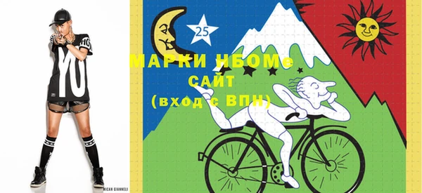 шишки Абинск