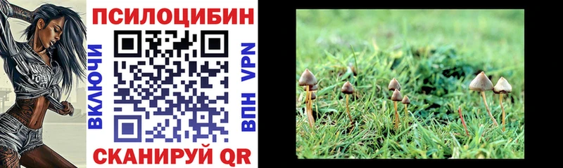 Галлюциногенные грибы MAGIC MUSHROOMS где купить наркоту Новосибирск